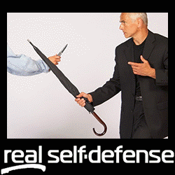 Real-Self-Defense.com: No-Nonsense Techniques and Tactics for Personal Protection